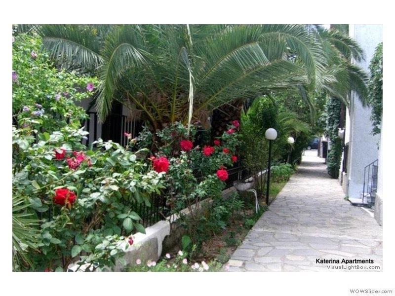 Katerina Apartments 페프코초리 외부 사진